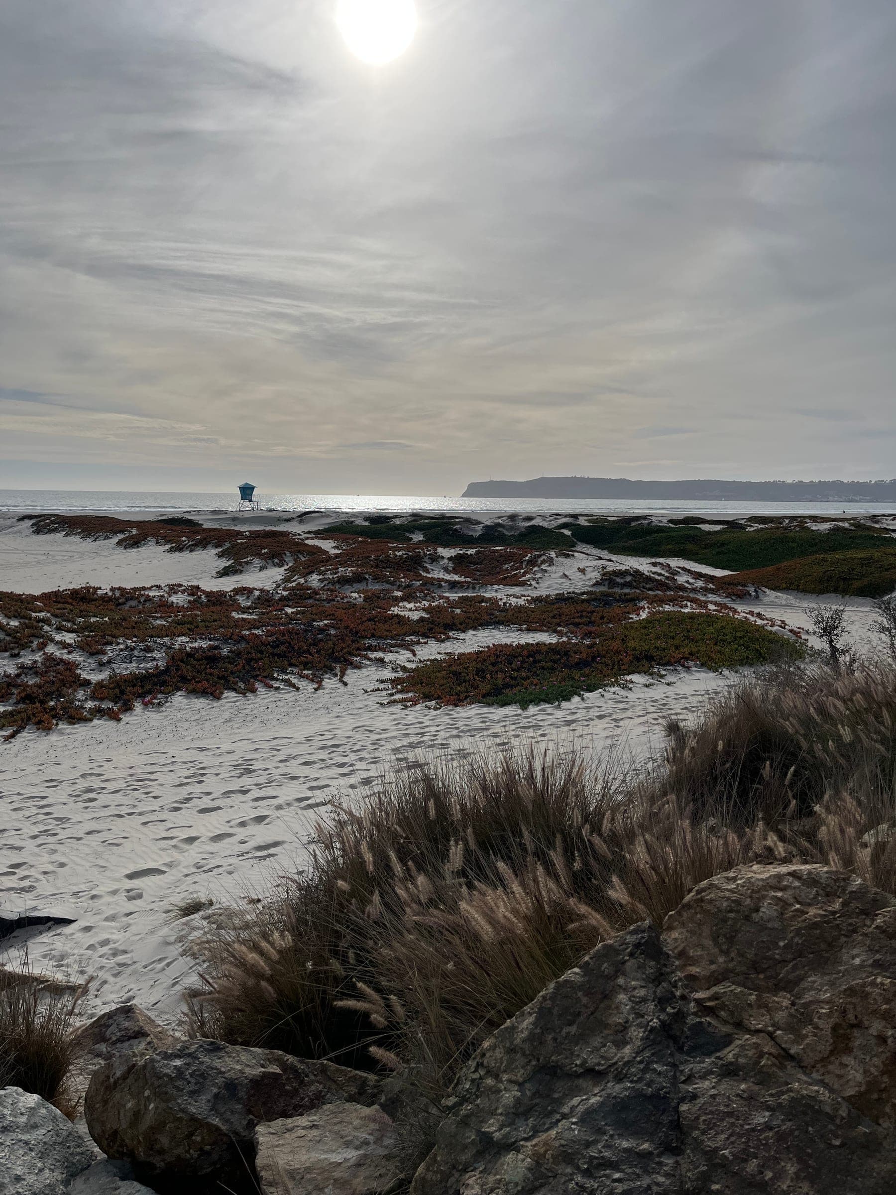 Coronado Beach