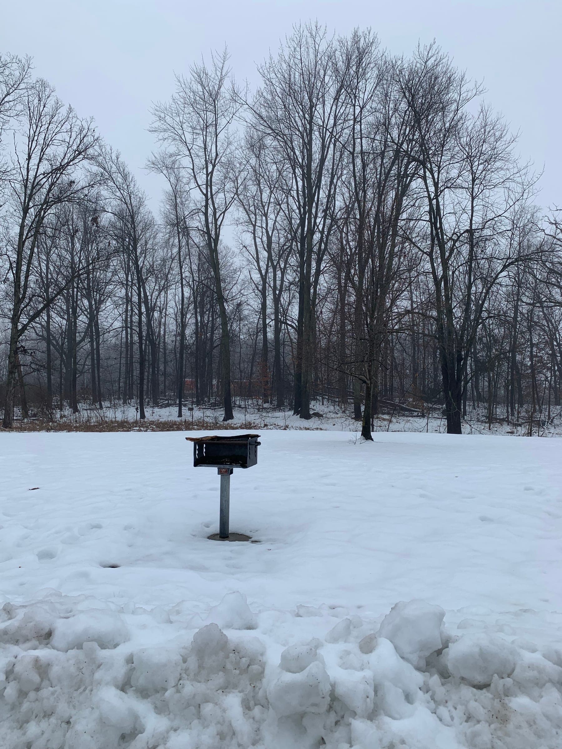 Michigan Day Snow