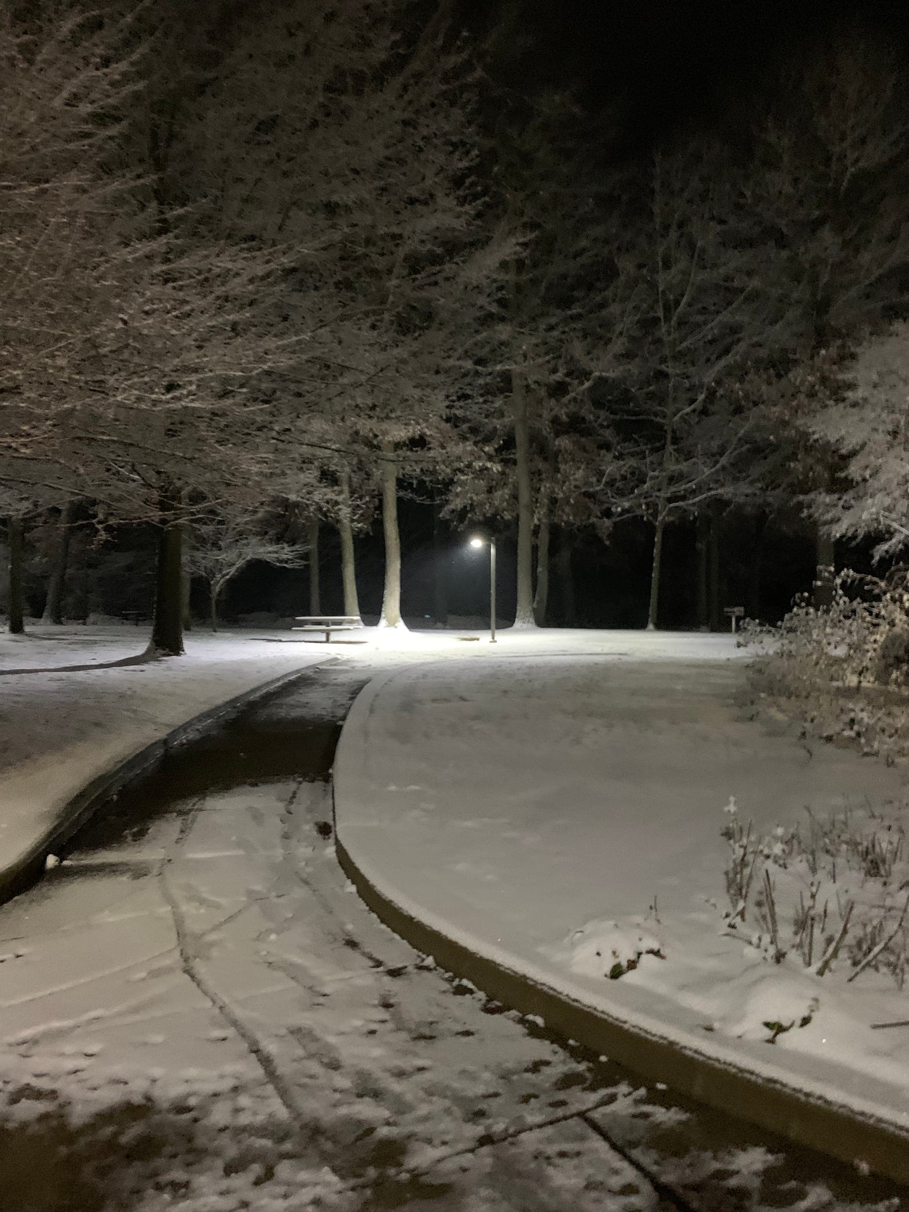 Michigan Night Snow