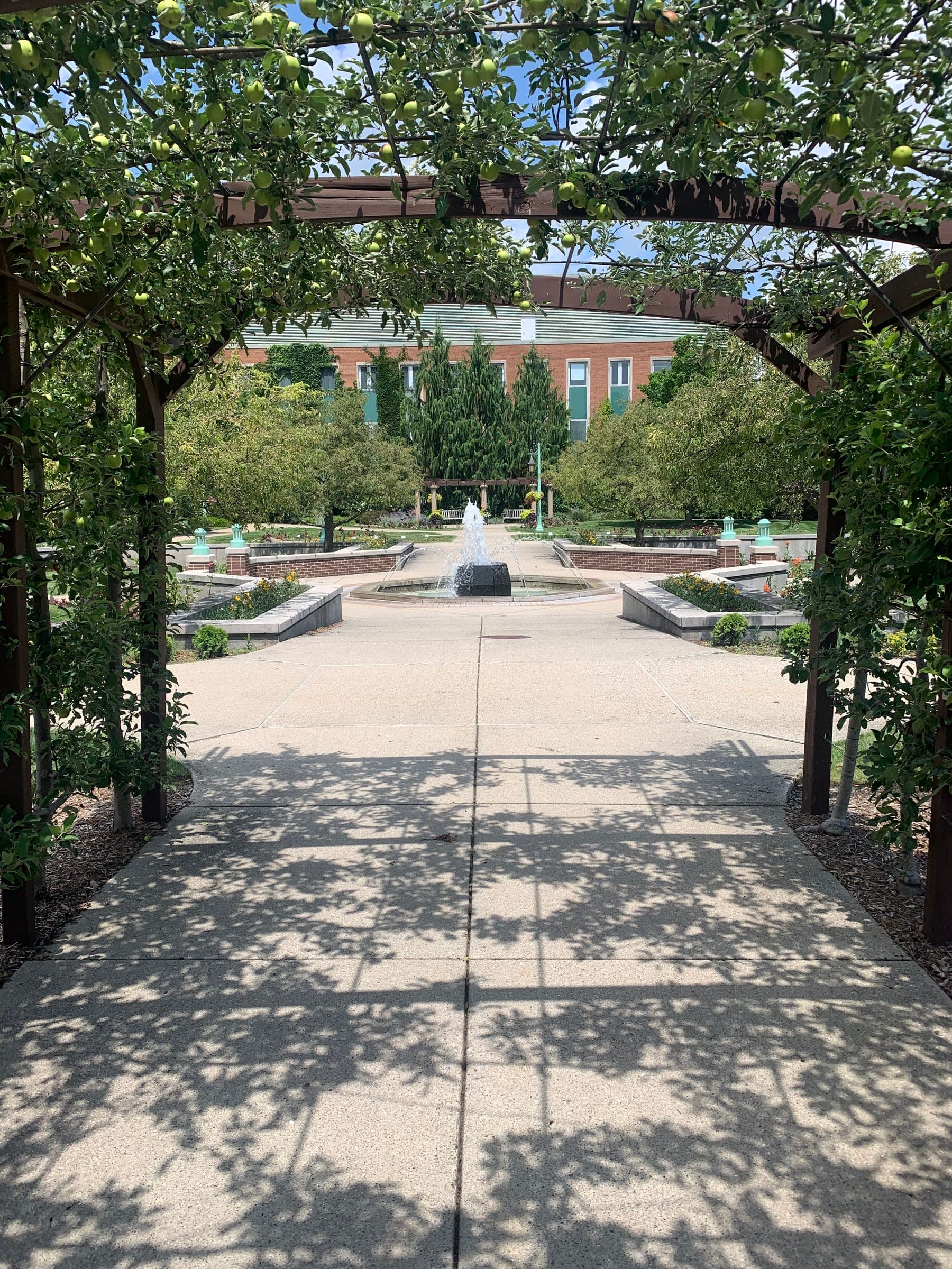 MSU Campus Fountain