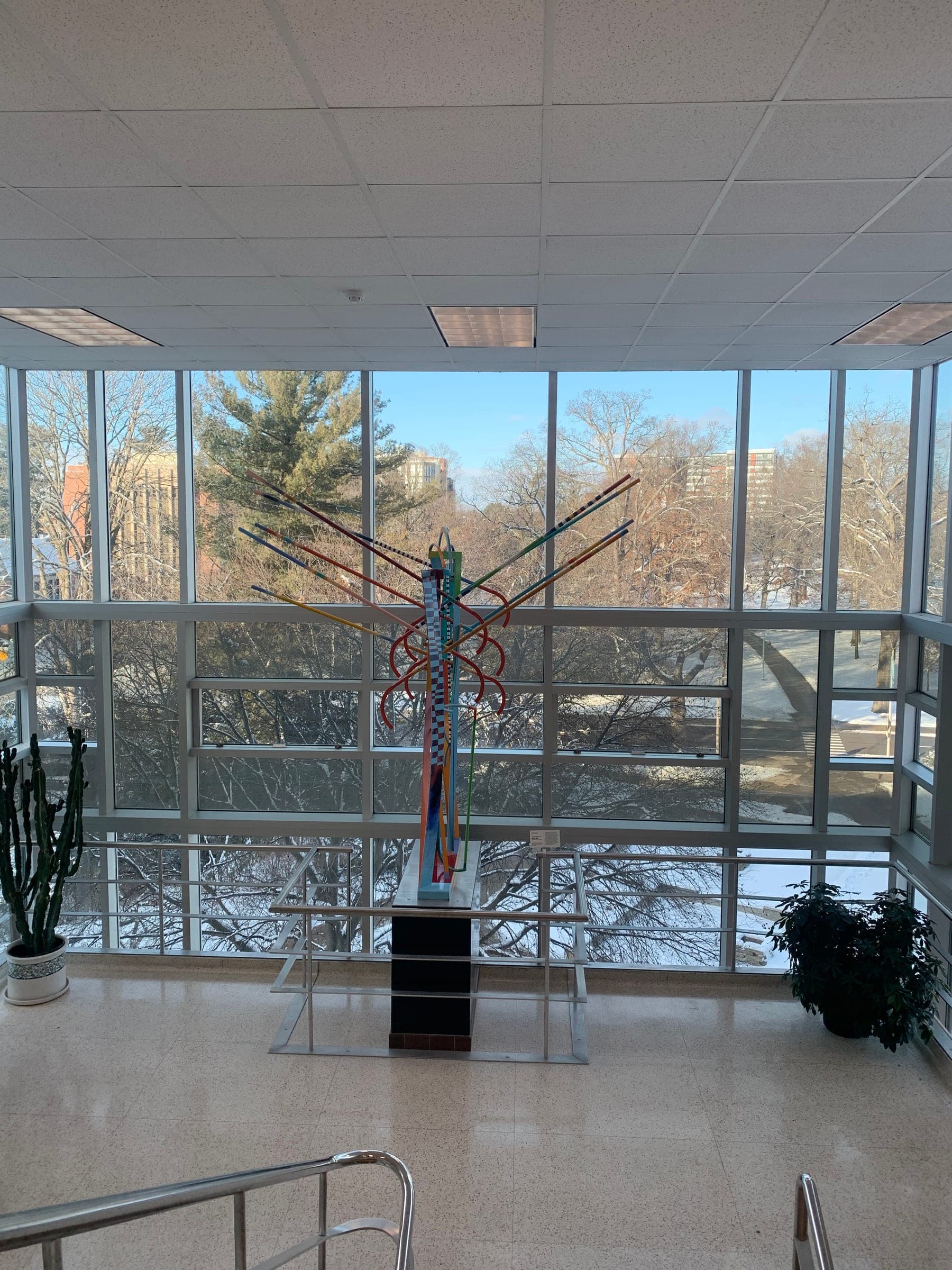 MSU Library