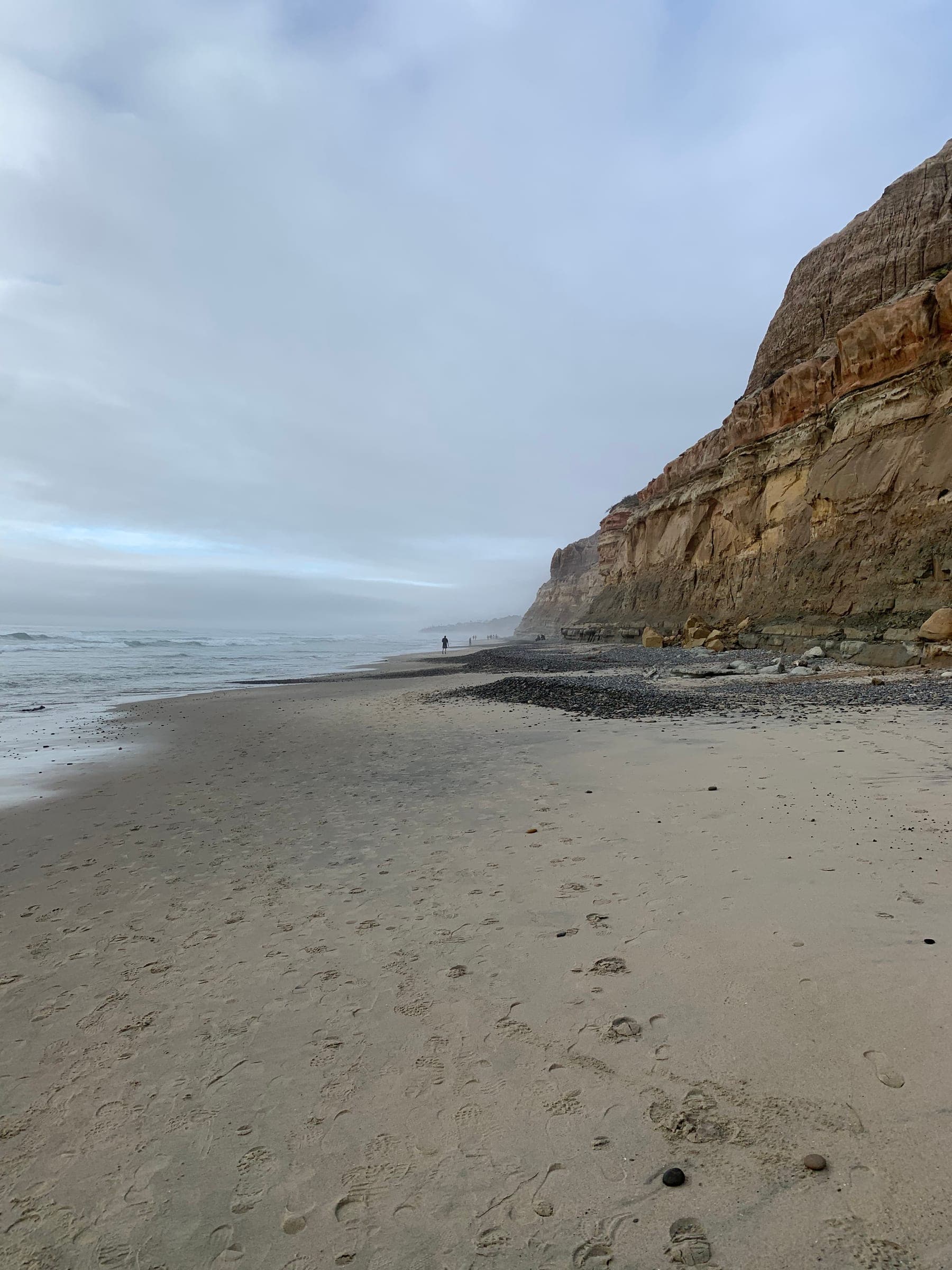 Torrey Pines Beach