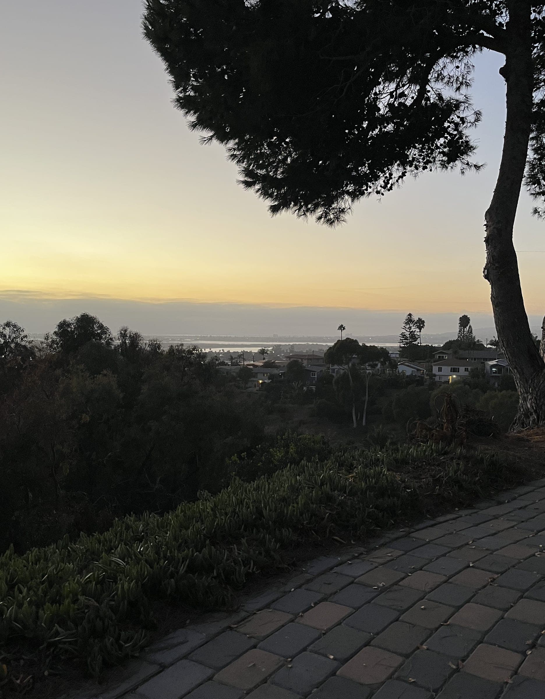 USD Campus Hilltop